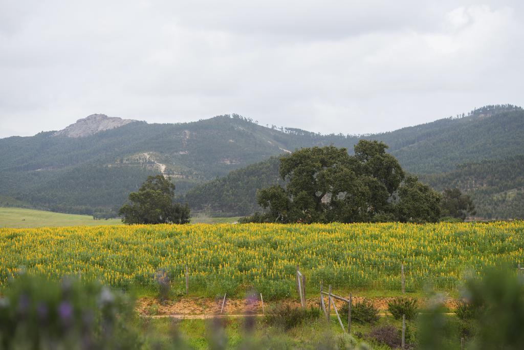 Herdade Do Amarelo Nature & Spa Vila Nova de Milfontes Exteriör bild
